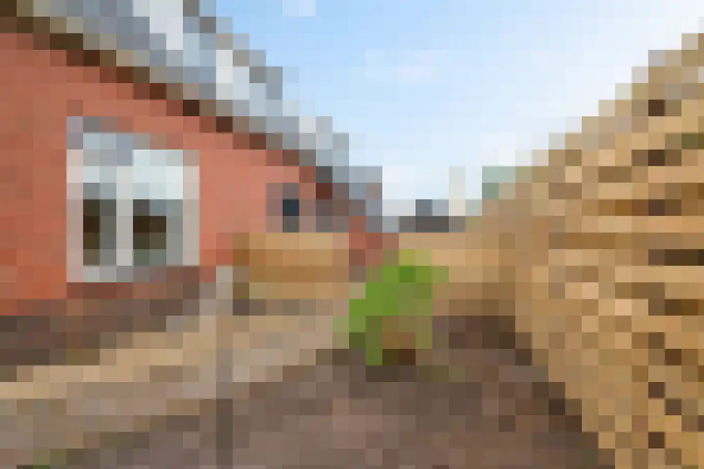 Thedemalaan 3 Nietap thumbnail 40