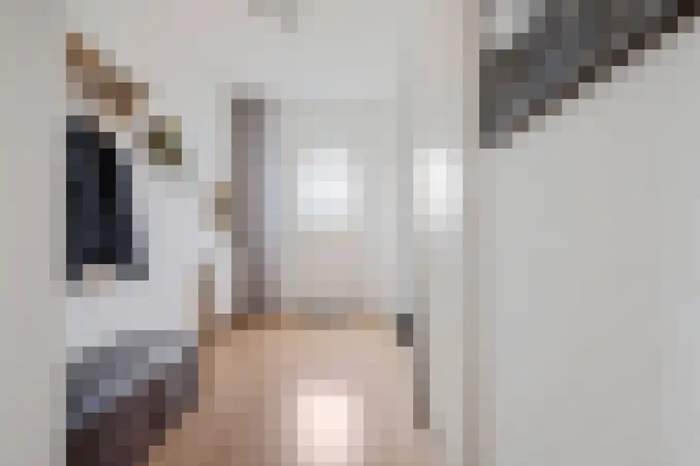 Thedemalaan 3 Nietap thumbnail 8