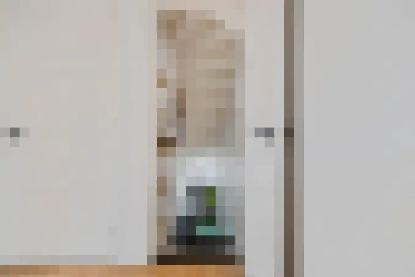 Thedemalaan 3 Nietap thumbnail 9