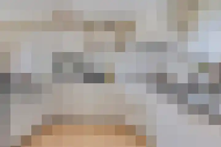 Thedemalaan 5 Nietap thumbnail 11