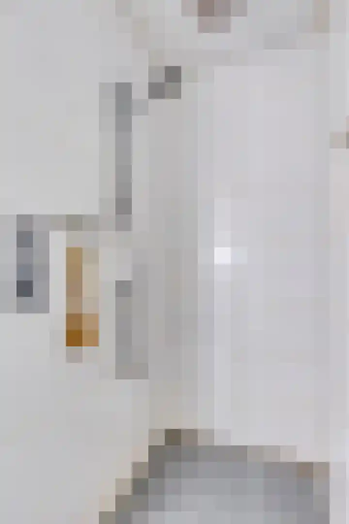 Thedemalaan 5 Nietap thumbnail 19