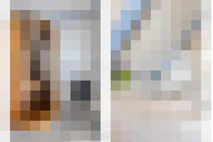Thedemalaan 5 Nietap thumbnail 25