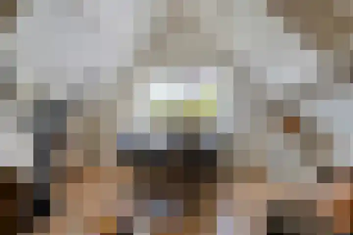 Thedemalaan 5 Nietap thumbnail 28