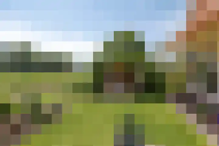 Thedemalaan 5 Nietap thumbnail 35
