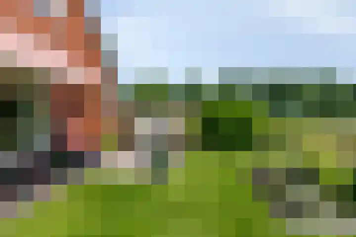 Thedemalaan 5 Nietap thumbnail 36