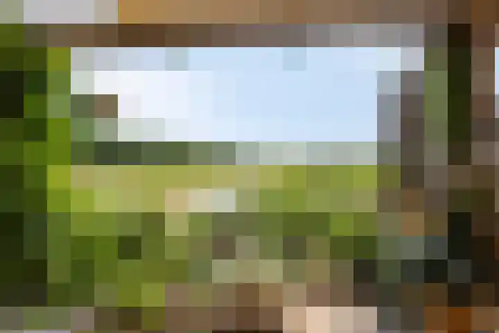 Thedemalaan 5 Nietap thumbnail 39