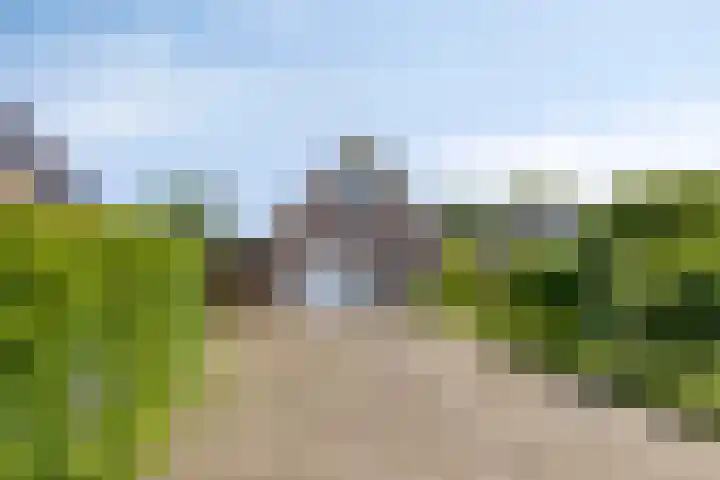 Thedemalaan 5 Nietap thumbnail 40
