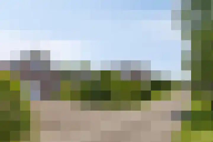 Thedemalaan 5 Nietap thumbnail 42