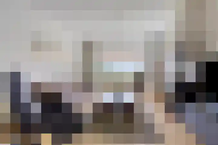 Thedemalaan 5 Nietap thumbnail 5