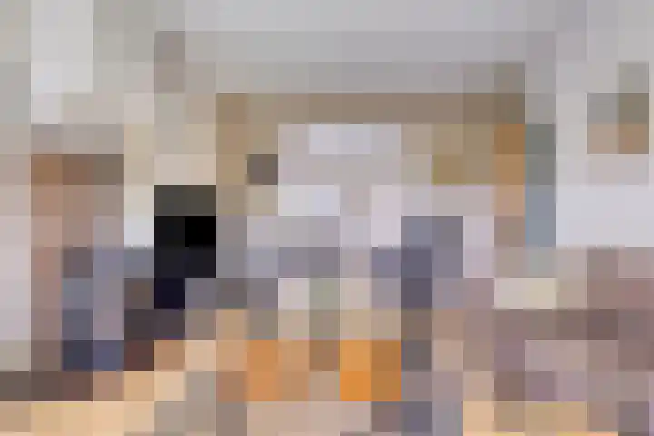 Thedemalaan 5 Nietap thumbnail 7