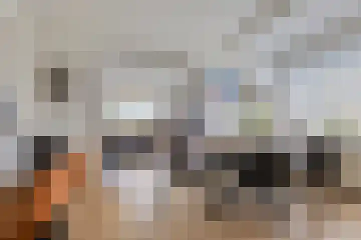 Thedemalaan 5 Nietap thumbnail 8