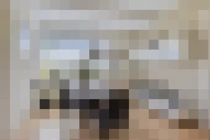 Thedemalaan 5 Nietap thumbnail 9