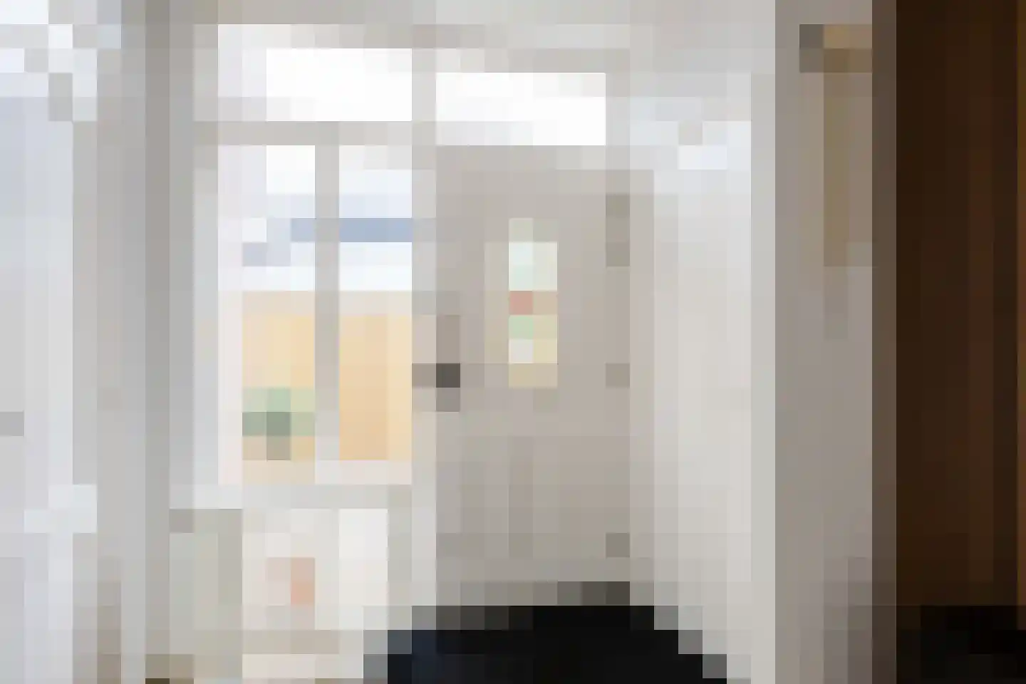Thedemastraat 43 Bedum thumbnail 10