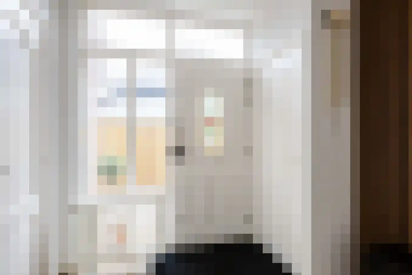 Thedemastraat 43 Bedum thumbnail 10
