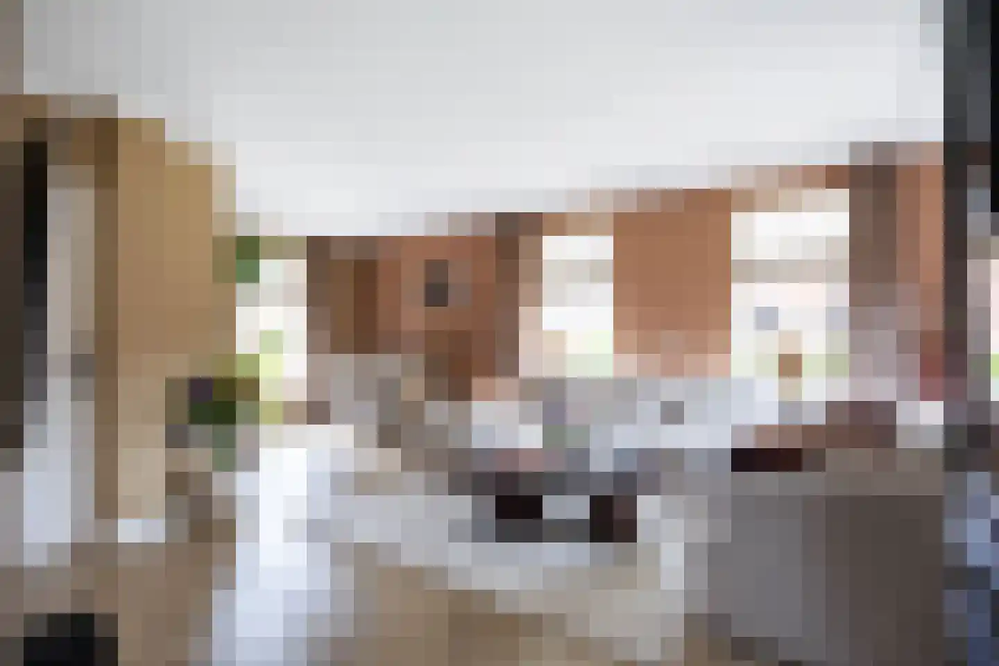 Thedemastraat 43 Bedum thumbnail 13