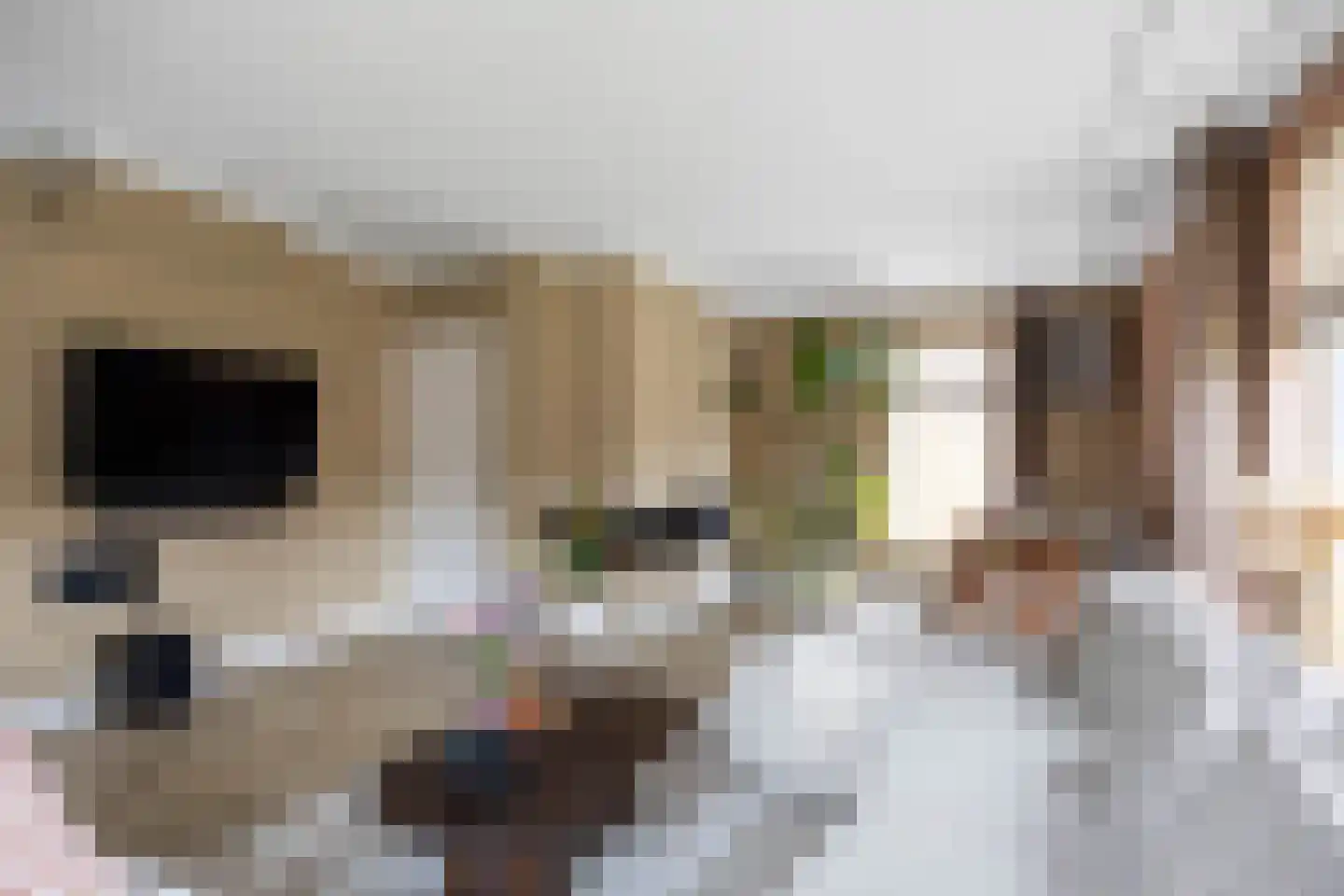 Thedemastraat 43 Bedum thumbnail 15