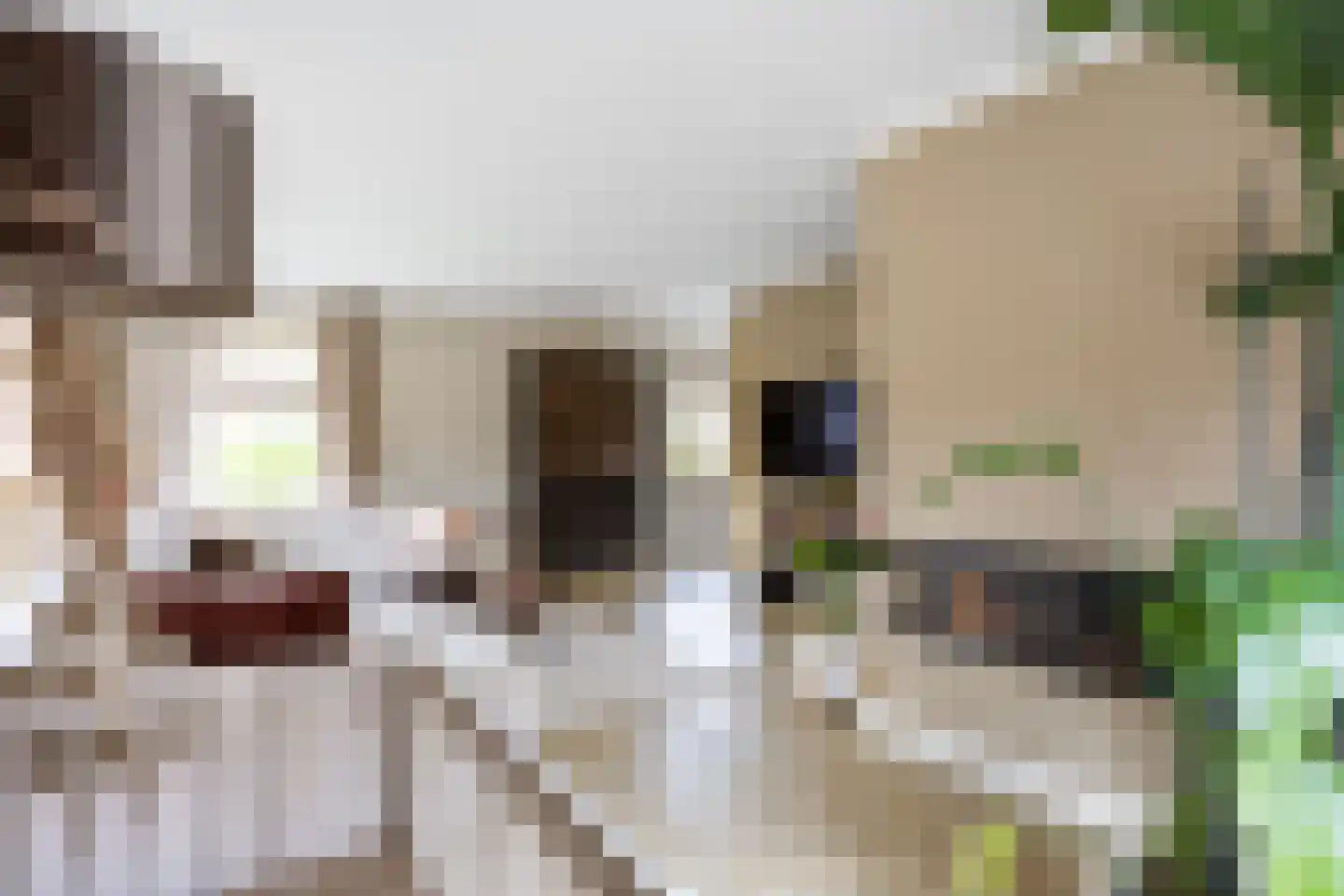 Thedemastraat 43 Bedum thumbnail 17