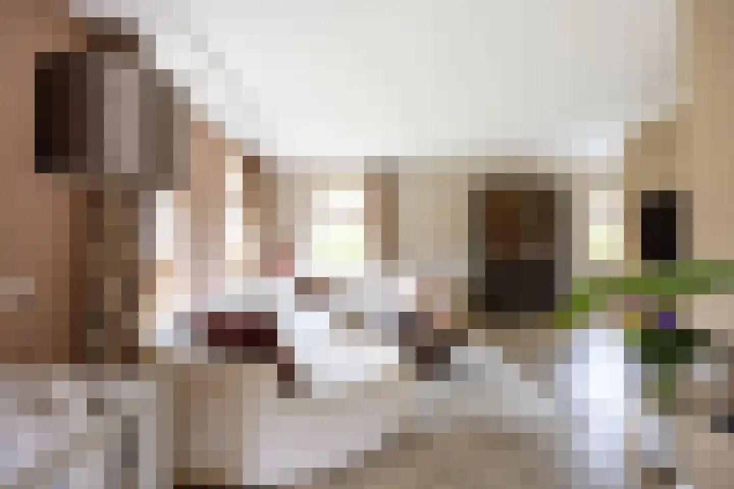 Thedemastraat 43 Bedum thumbnail 19