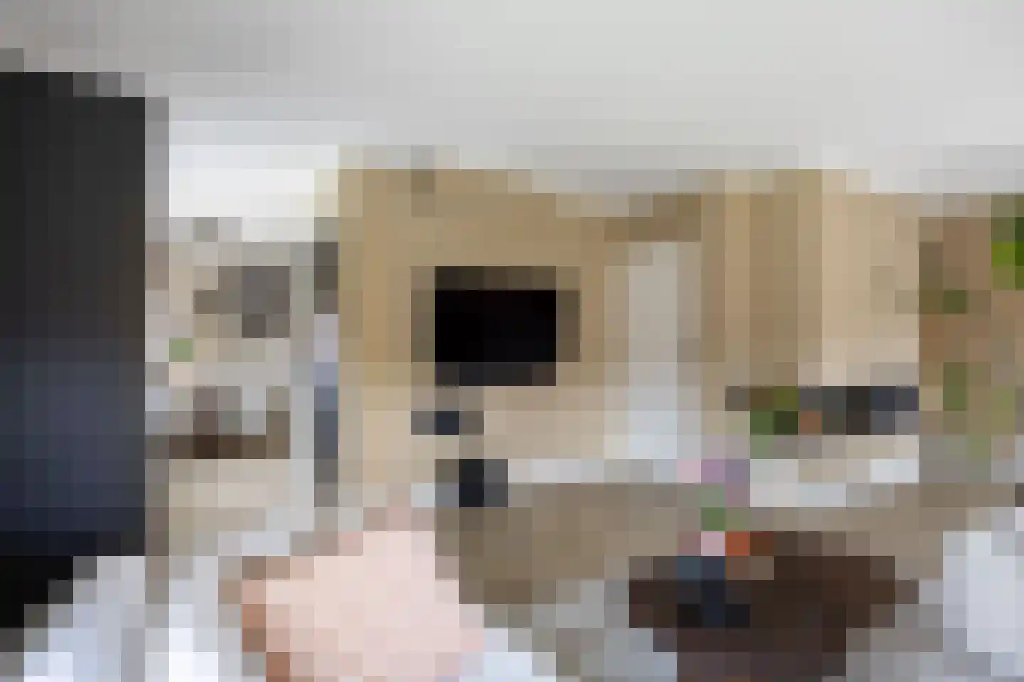 Thedemastraat 43 Bedum thumbnail 21