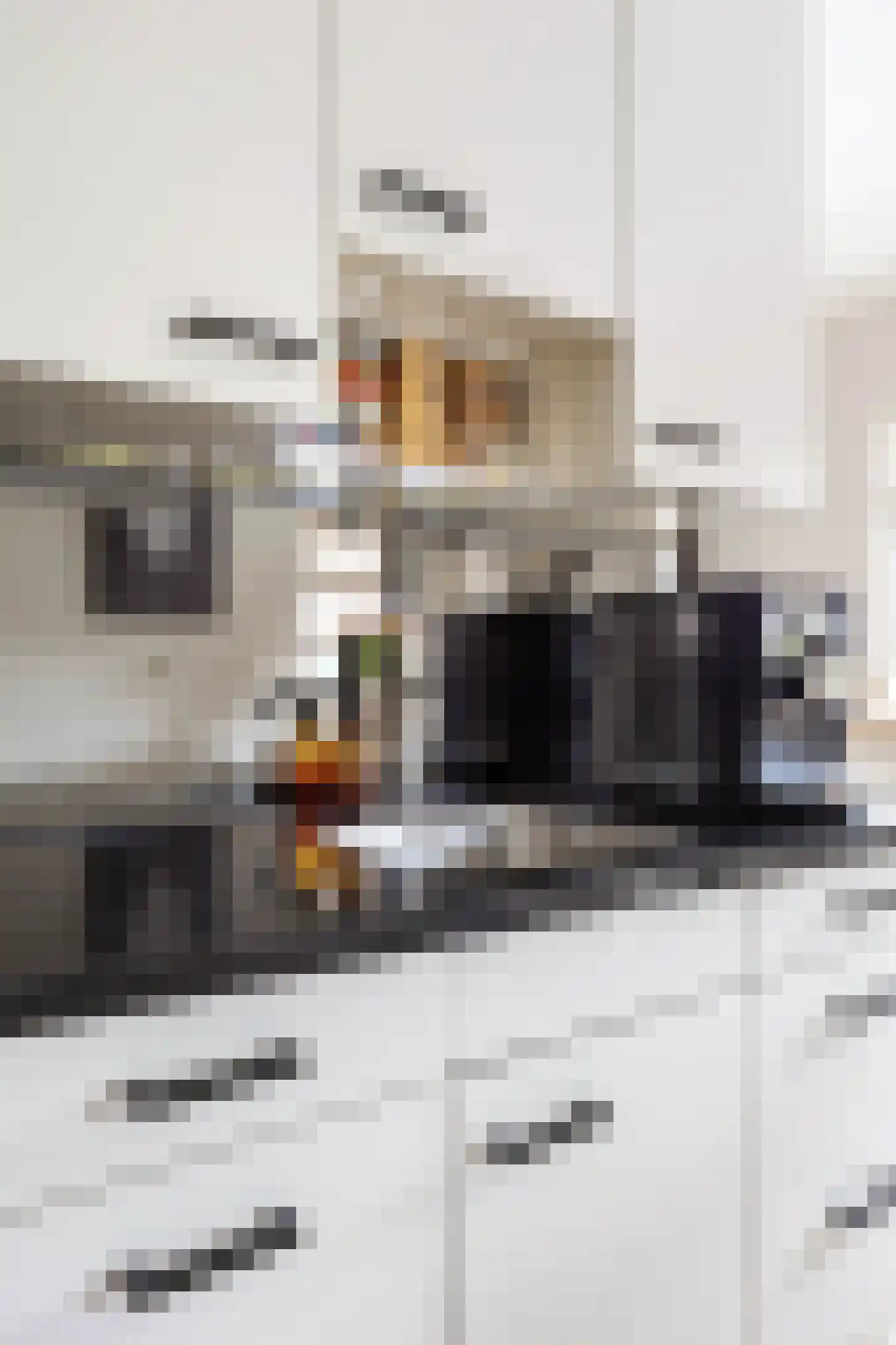 Thedemastraat 43 Bedum thumbnail 30