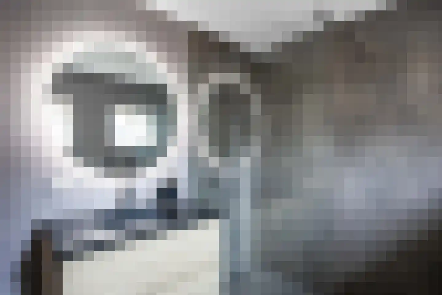 Thedemastraat 43 Bedum thumbnail 36