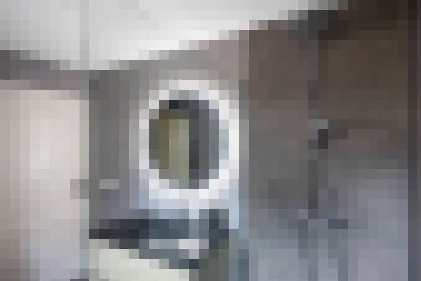 Thedemastraat 43 Bedum thumbnail 37