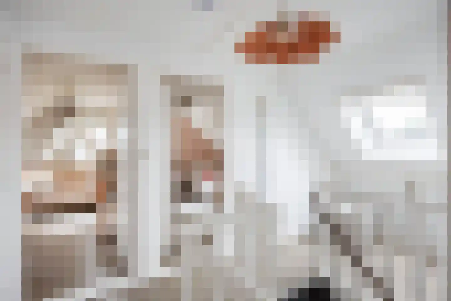Thedemastraat 43 Bedum thumbnail 40