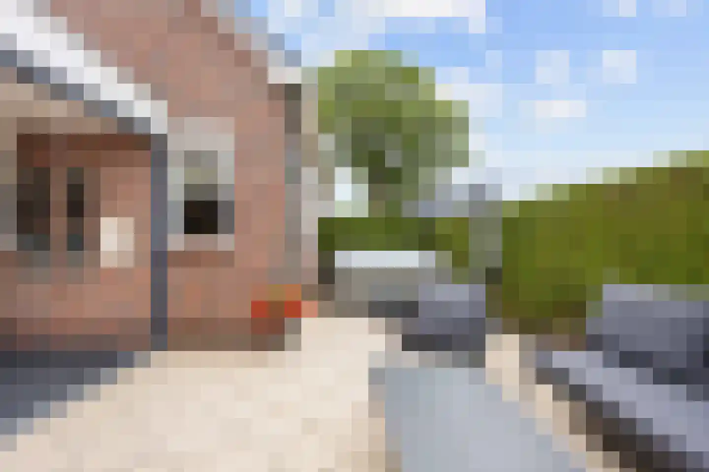 Thedemastraat 43 Bedum thumbnail 50