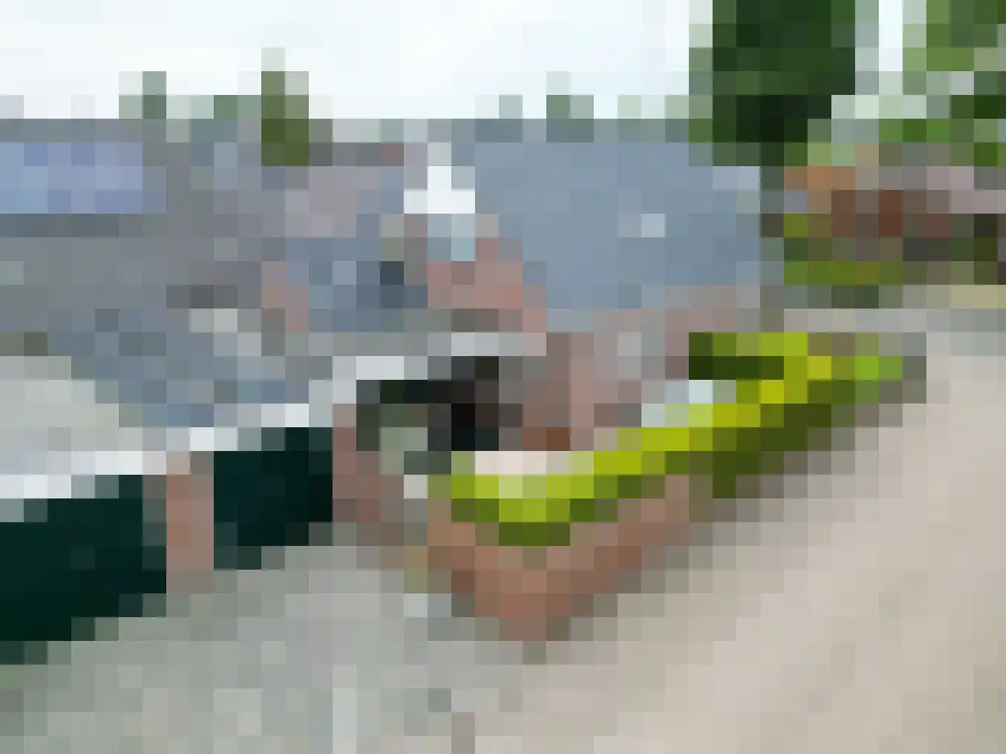 Thedemastraat 43 Bedum thumbnail 7