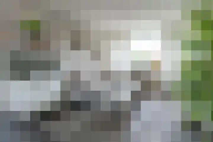 Thedingecamp 3 Emmen thumbnail 10