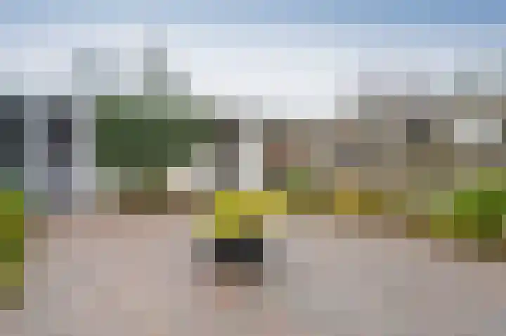 Thedingecamp 3 Emmen thumbnail 25