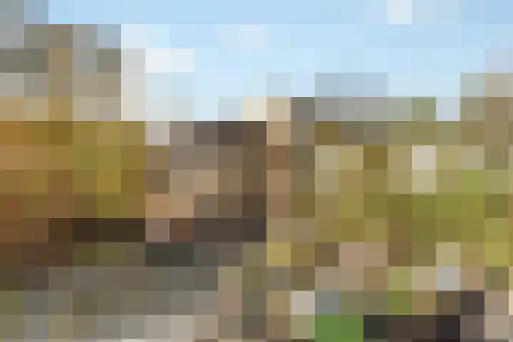Thedingecamp 3 Emmen thumbnail 26