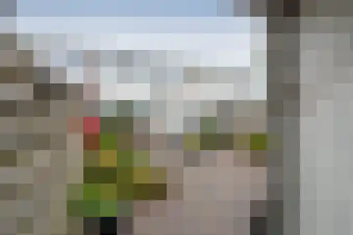 Thedingecamp 3 Emmen thumbnail 26