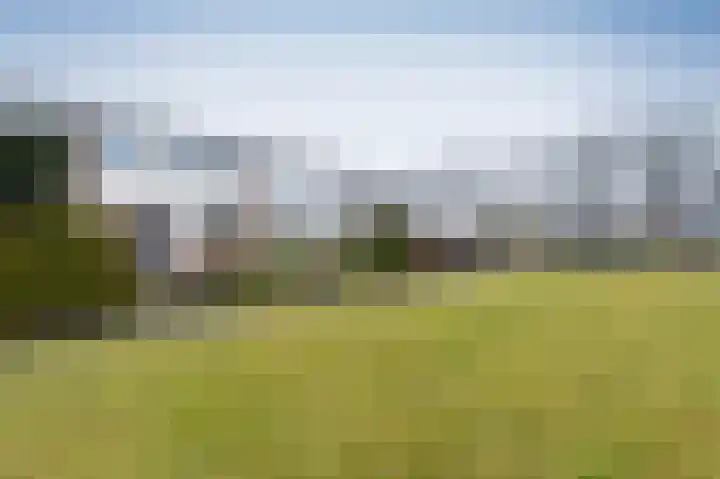 Thedingecamp 3 Emmen thumbnail 30