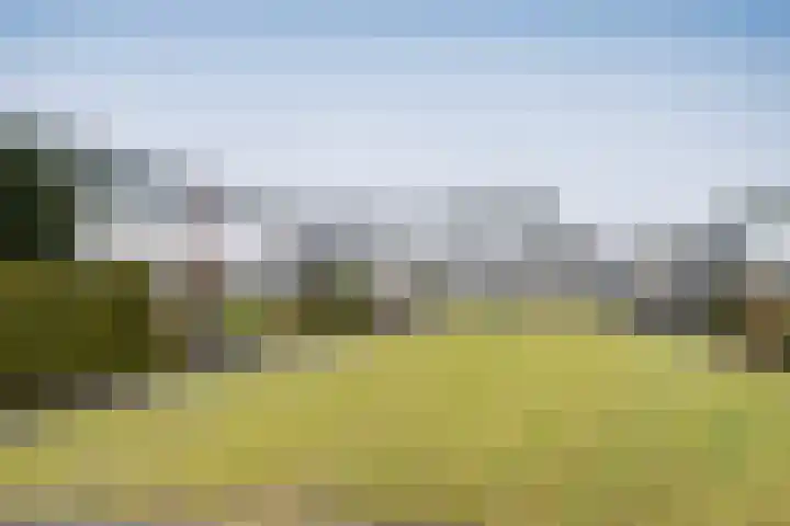Thedingecamp 3 Emmen thumbnail 31
