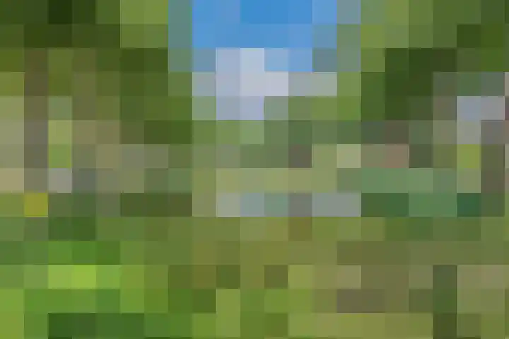 Thedingecamp 3 Emmen thumbnail 32