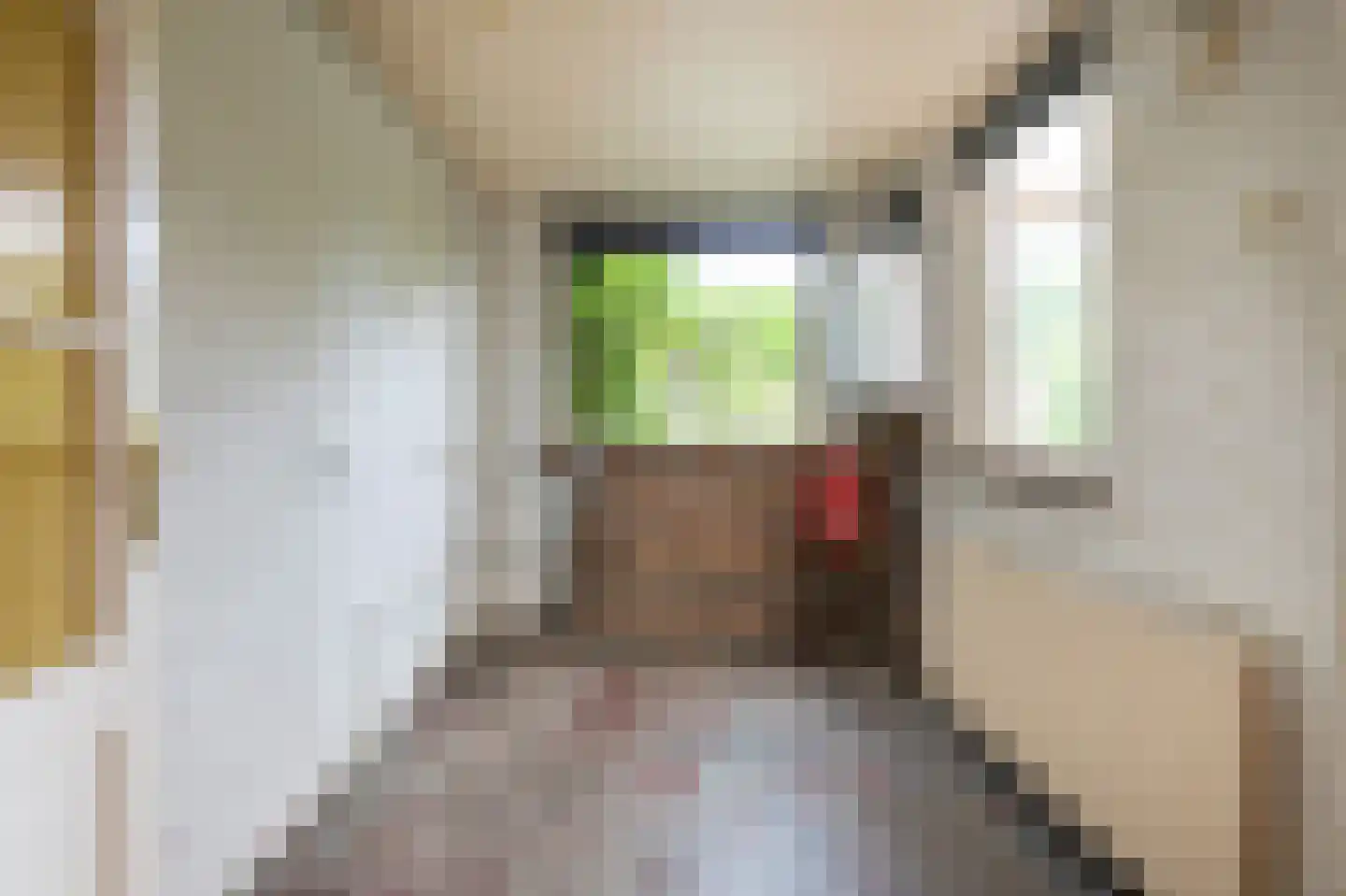 Thedingecamp 33 Emmen thumbnail 10