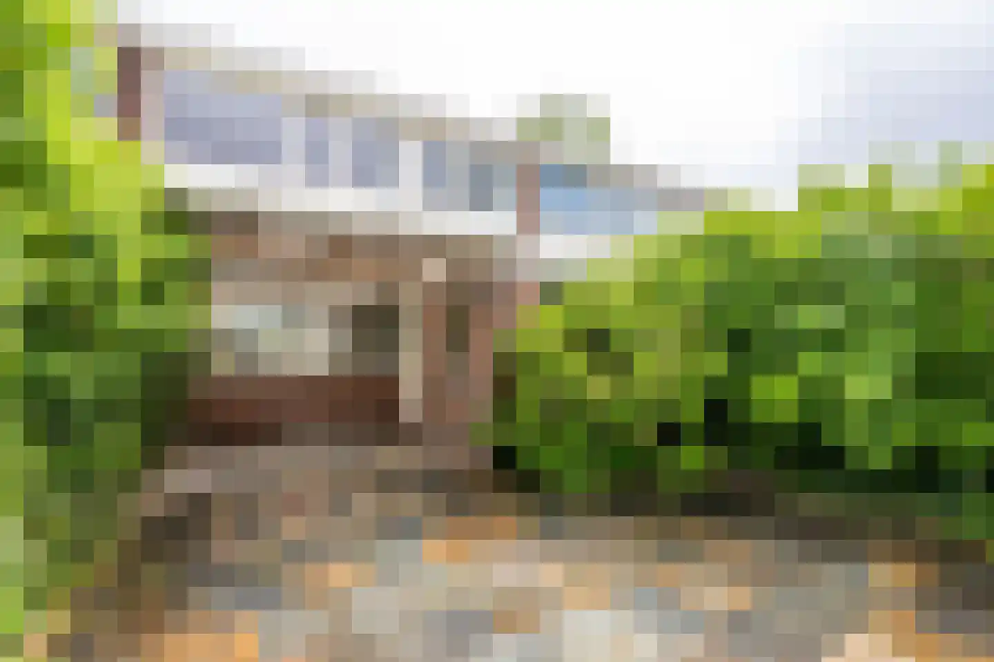 Thedingecamp 33 Emmen thumbnail 21