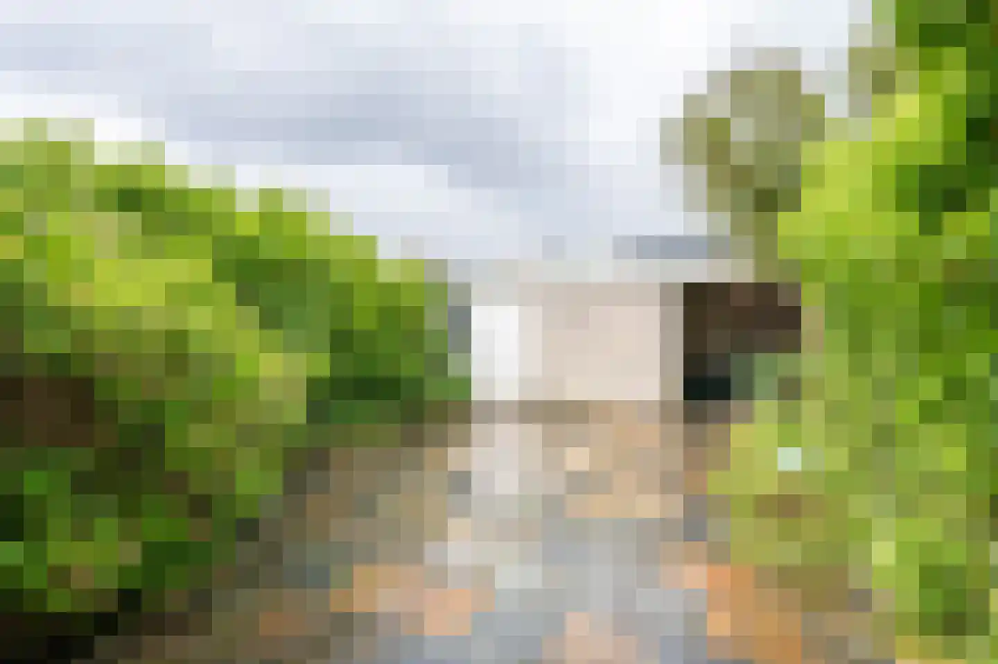 Thedingecamp 33 Emmen thumbnail 24