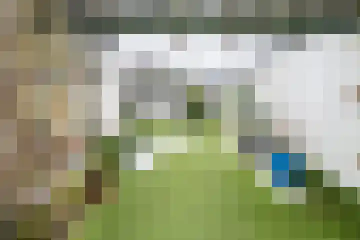 Thedingecamp 39 Emmen thumbnail 24