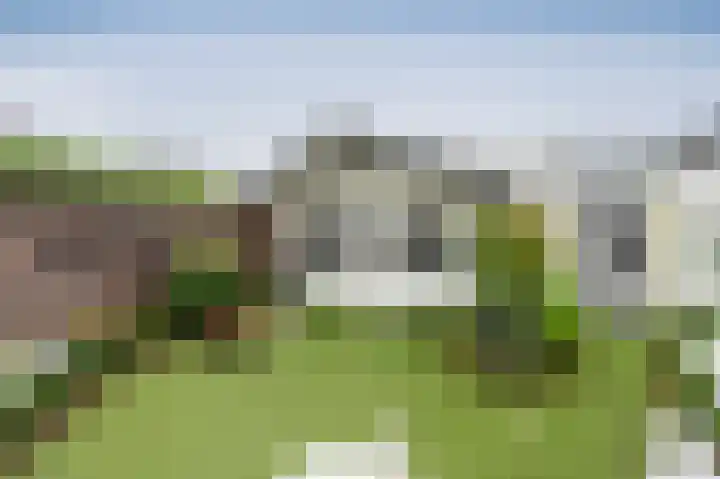 Thedingecamp 39 Emmen thumbnail 25