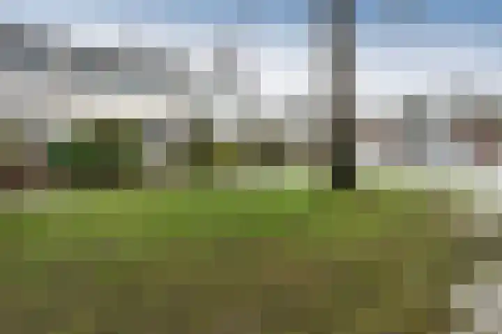 Thedingecamp 39 Emmen thumbnail 29