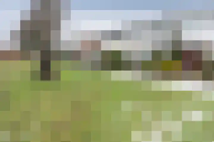 Thedingecamp 39 Emmen thumbnail 30