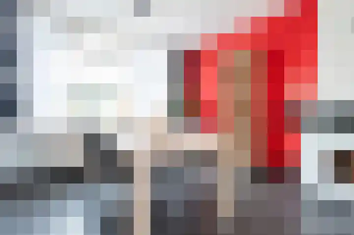Thedingecamp 39 Emmen thumbnail 8