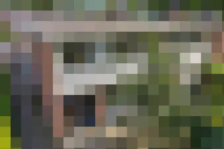 Thedingecamp 47 Emmen thumbnail 22
