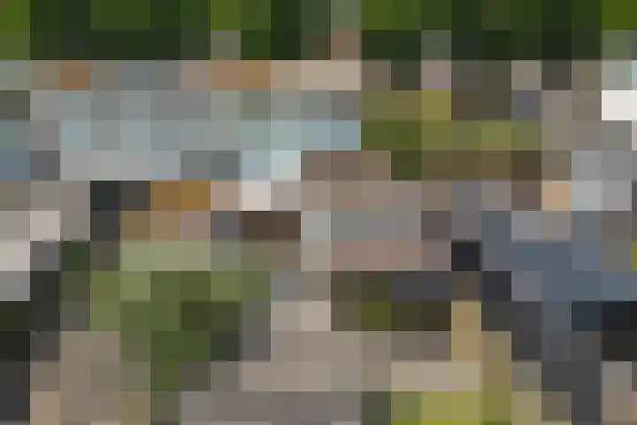 Thedingecamp 47 Emmen thumbnail 28