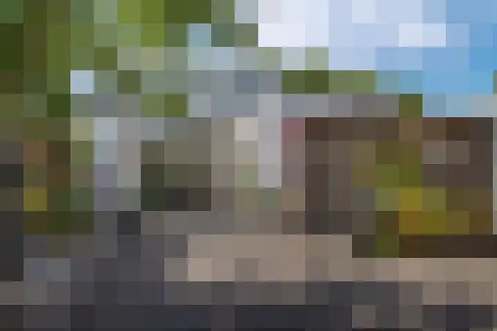Thedingecamp 47 Emmen thumbnail 29