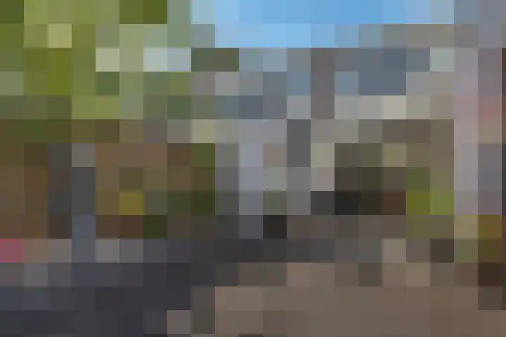 Thedingecamp 47 Emmen thumbnail 30