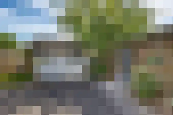 Thedingecamp 47 Emmen thumbnail 34