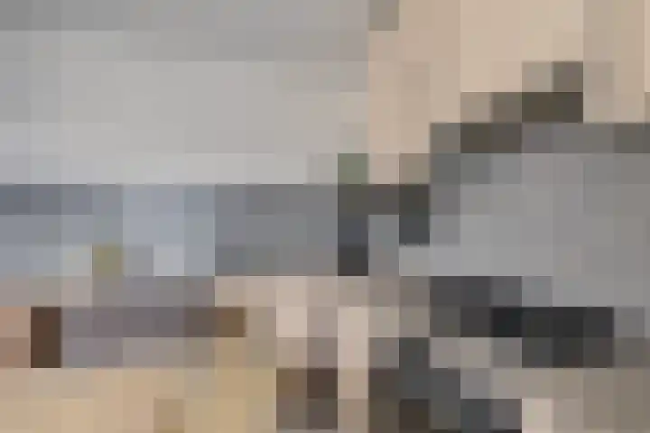 Thedingecamp 47 Emmen thumbnail 9